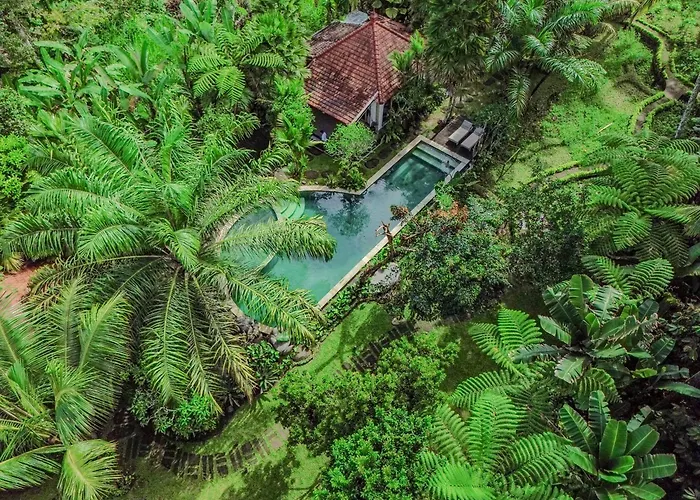 Govinda House Lodge *